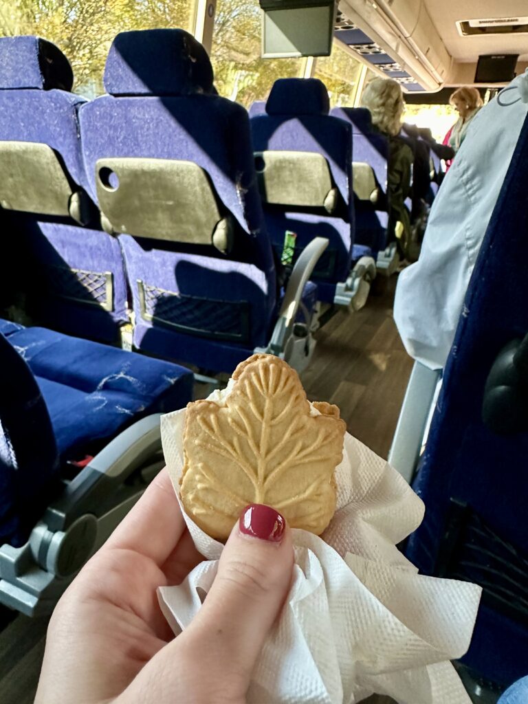 Holding a maple cream cookie on motorcoach